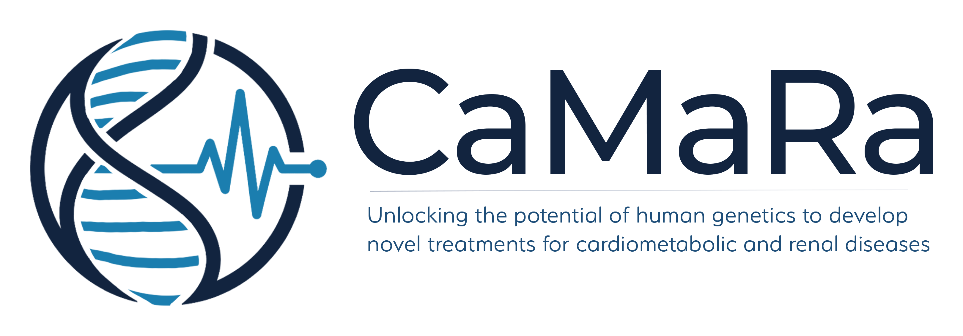 Logo_Camara_Blue.png