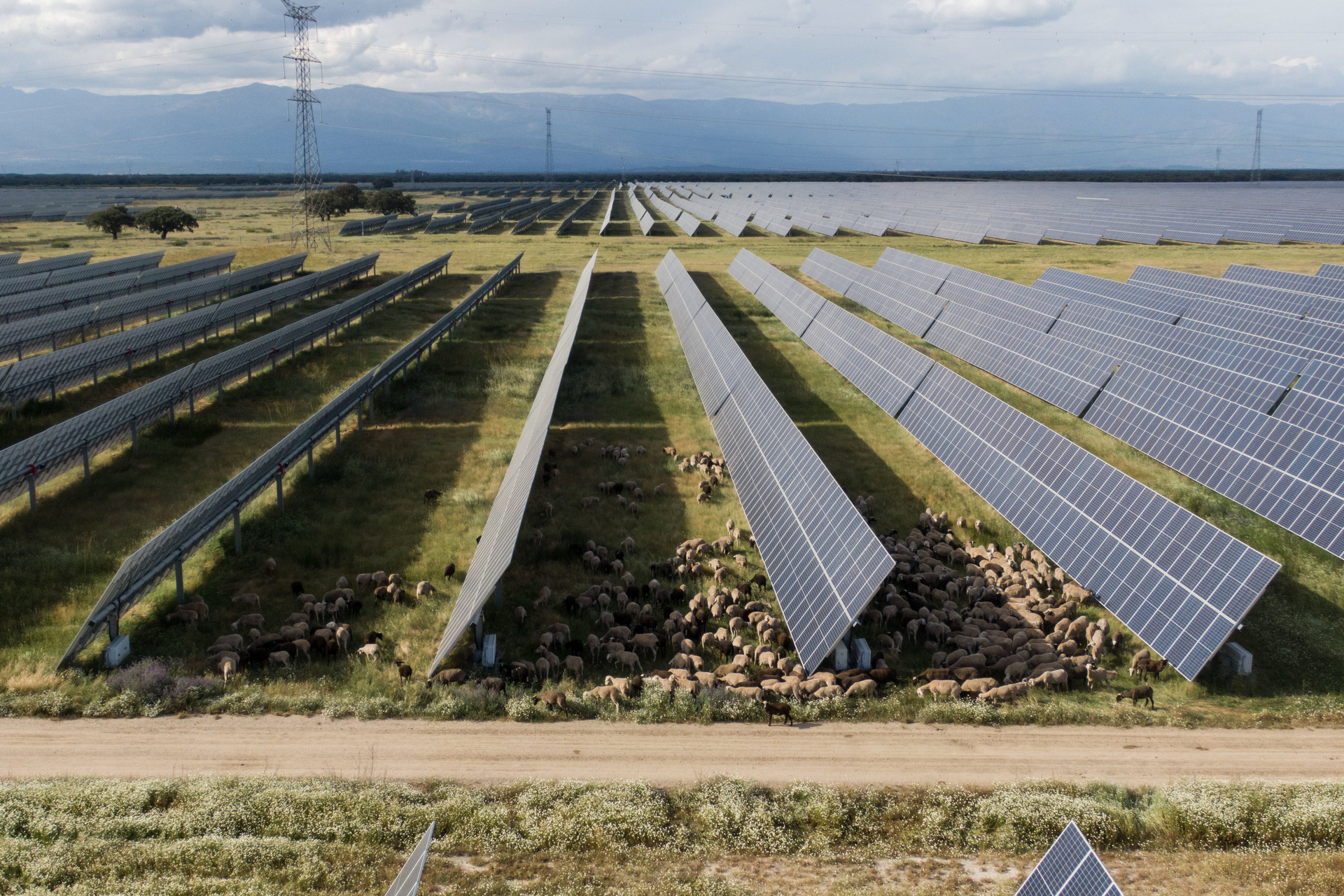 Statkraft's Talayuela solar park in Spain.