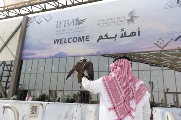 Saudi Falcons Exhibition