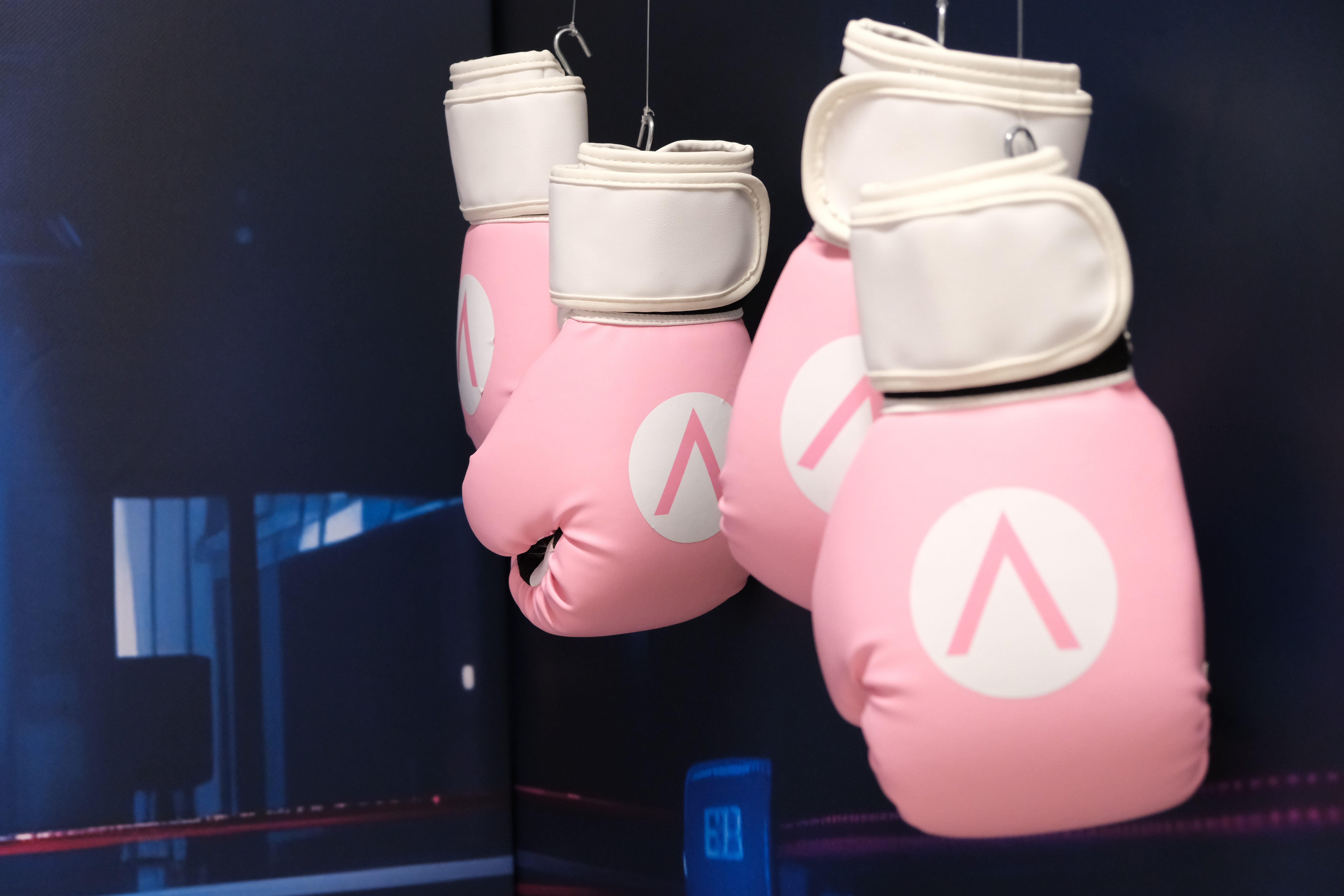 Boxing Gloves for Breast Cancer Awareness
