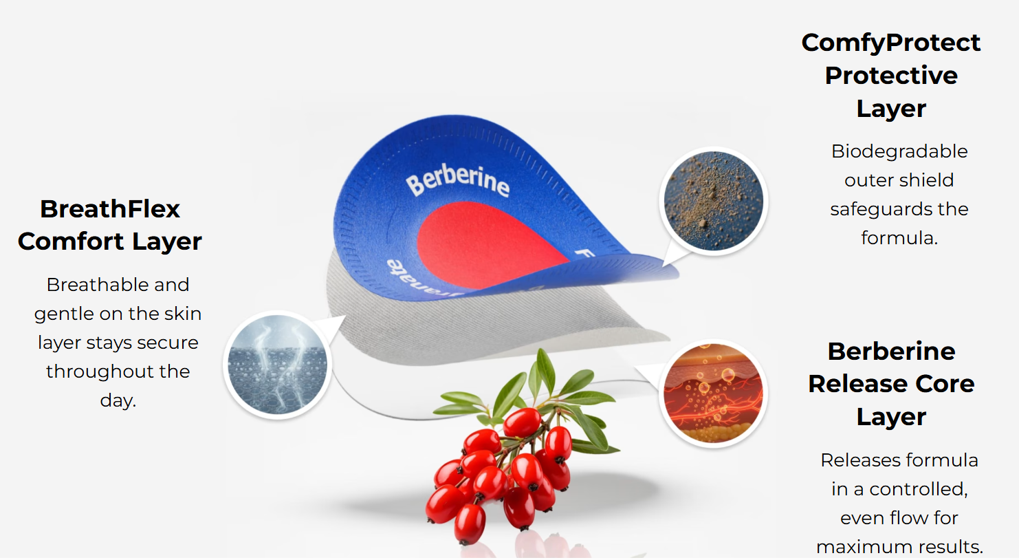 Purisaki Berberine Patches 2026 | Effective Weight Loss For Women Lose 12+ lbs per Month Read Benefits, Ingredients, Side Effects, Lunch in USA.