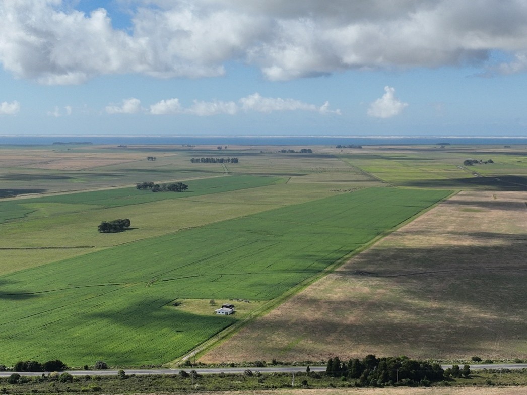 Statkraft to invest in 280 MW wind project in Brazil