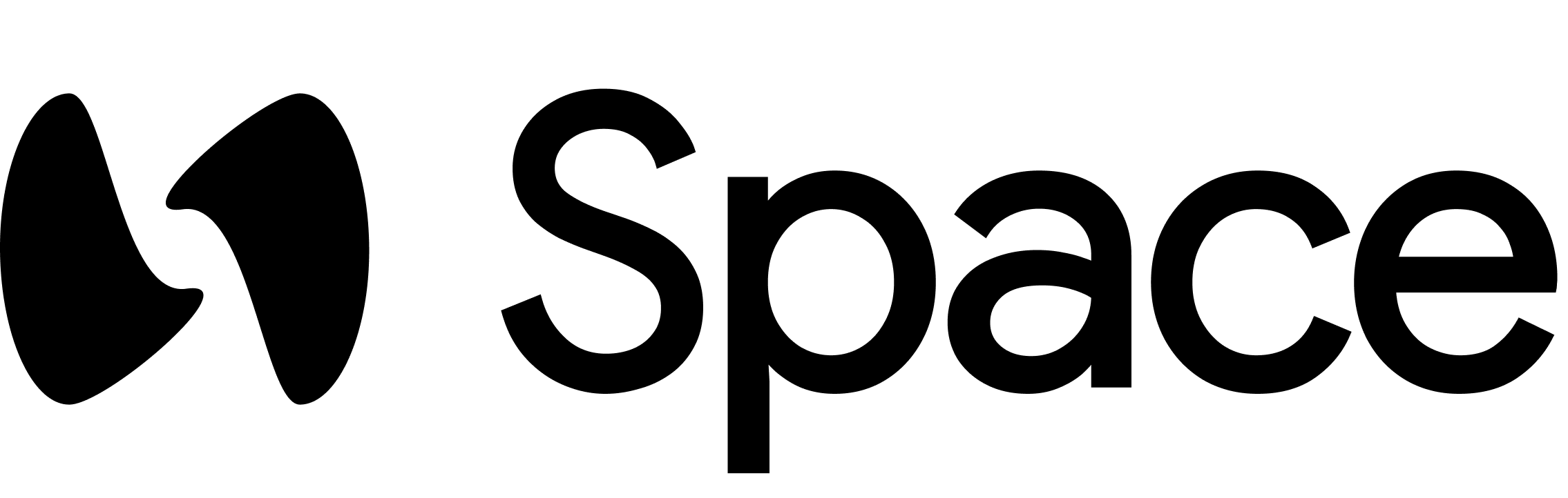 space-logo-primary-transparent-light.png
