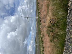 Bilde av Andershaw vindpark i Skottland