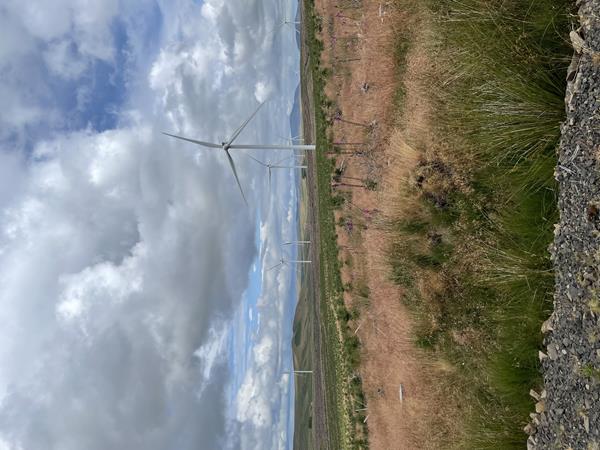 Photo of Andershaw wind farm in Scotland
