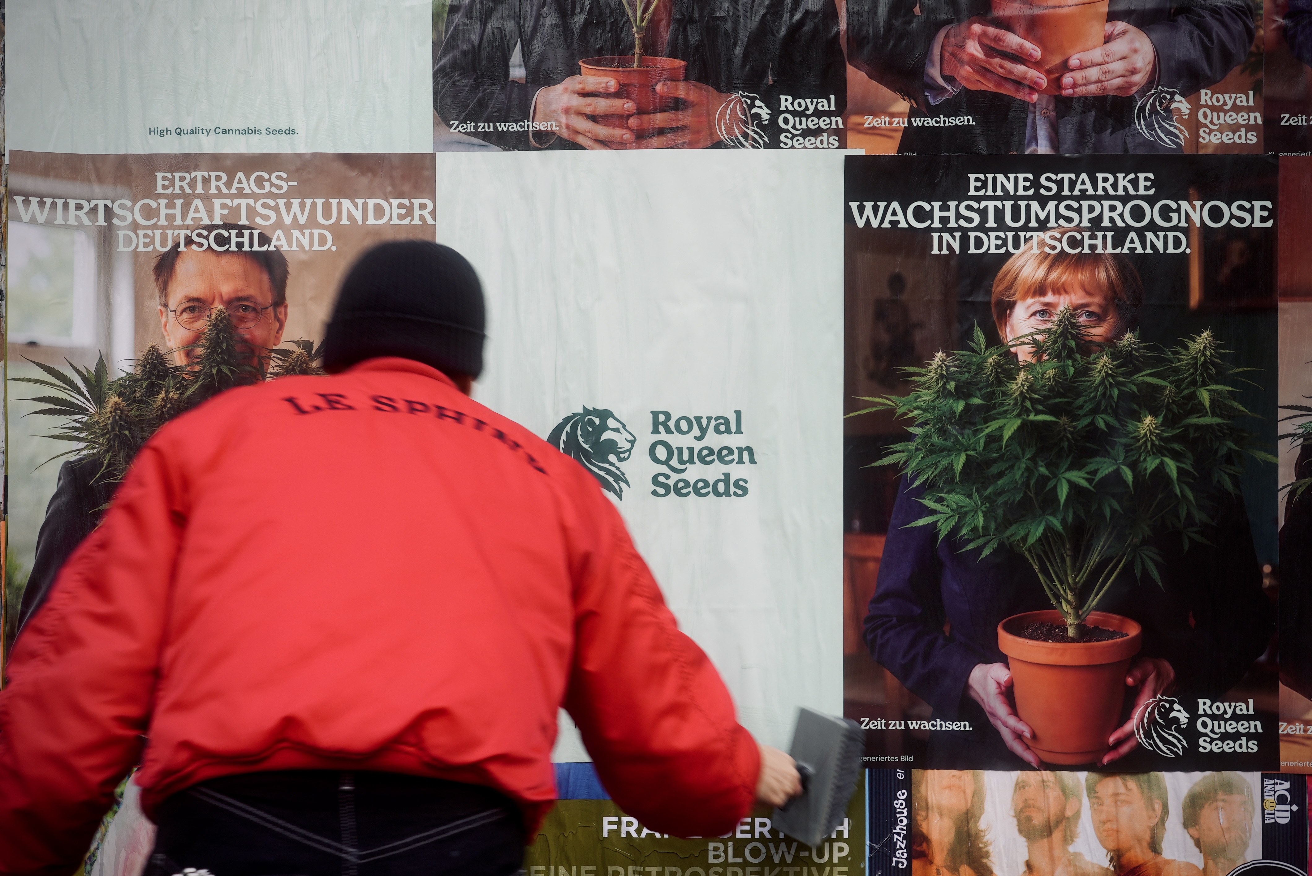 Grow your own Berlin Campaign by Royal Queen Seeds