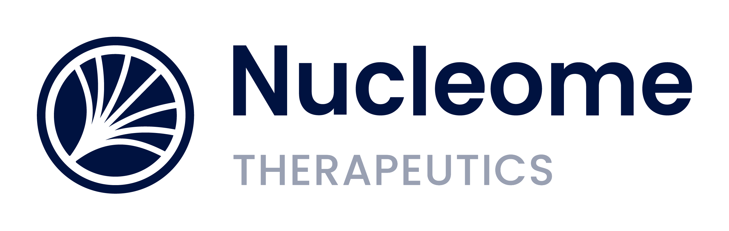 Nucleome - Logo variants_Logo - Blue.png