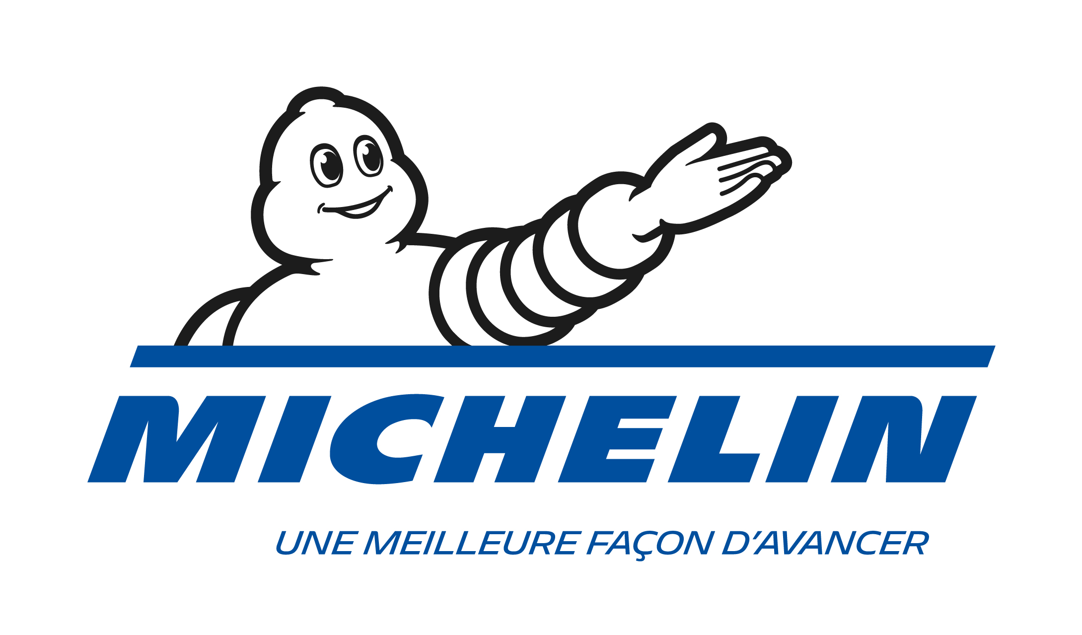 Michelin: Disclosure