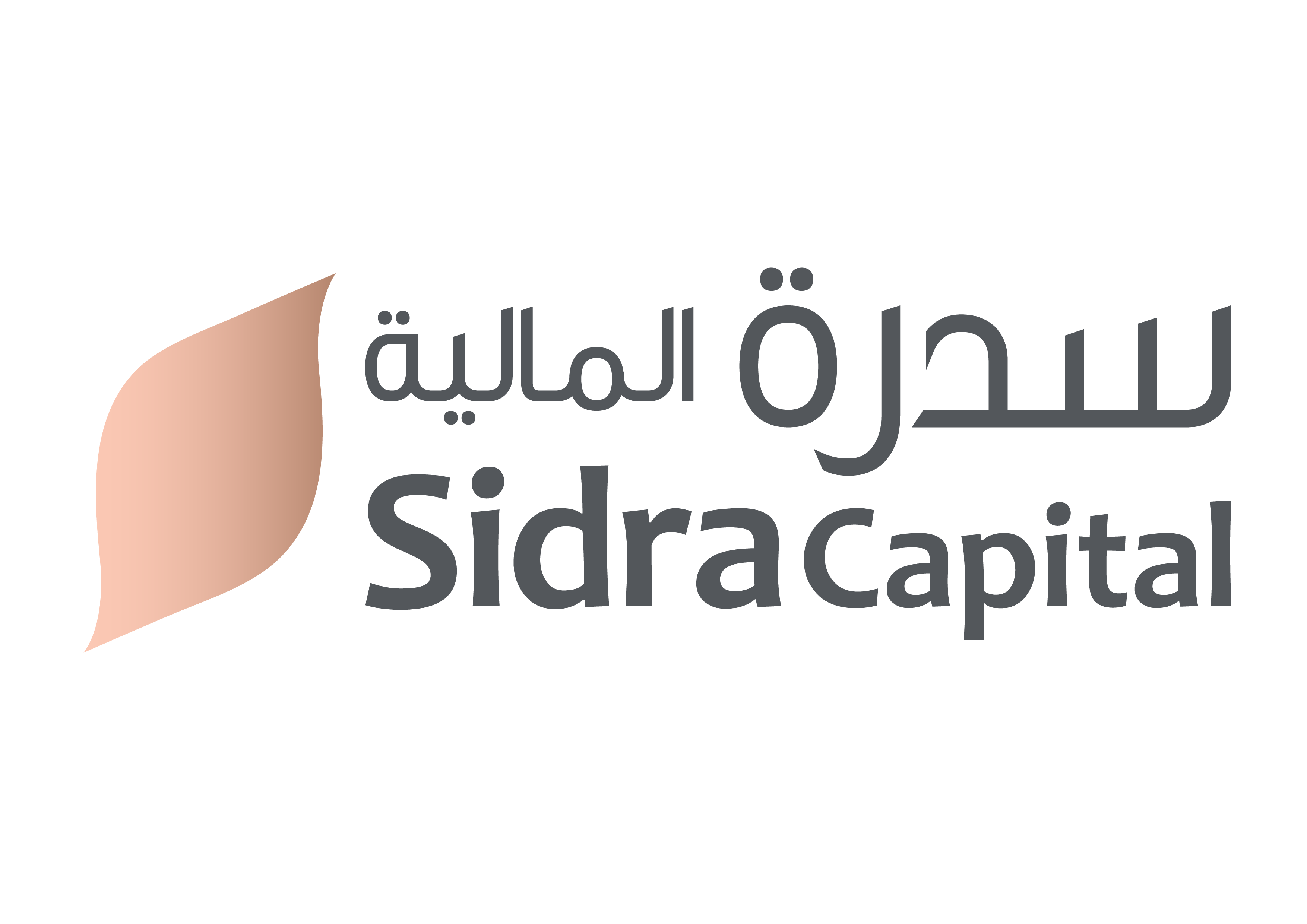 Sidra Master Logo RGB Positive.png