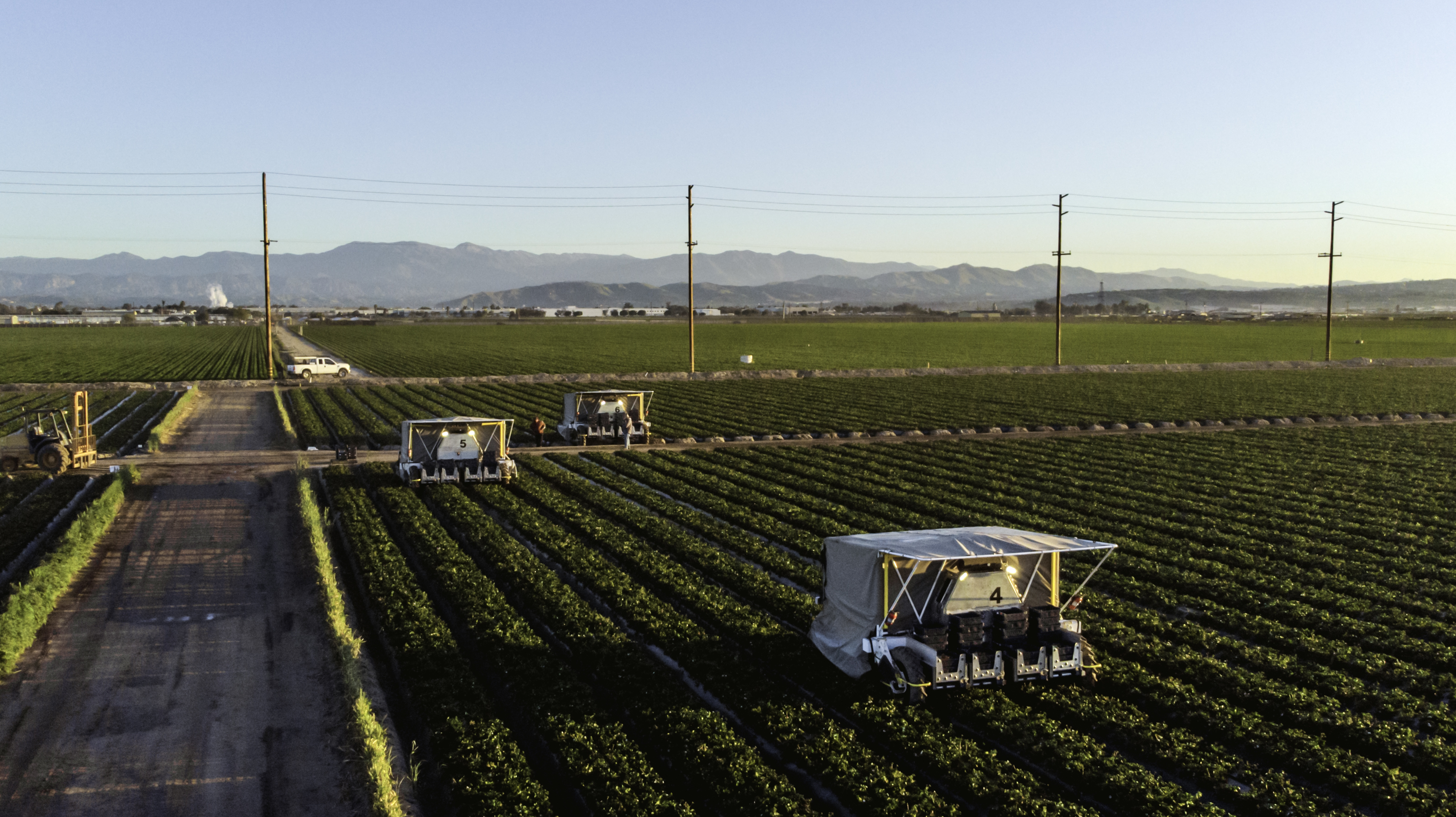 3_A fleet of three advanced.farm BetterPick robotic strawberry harvesters traverses autonomously through a ranch in Oxnard, California
