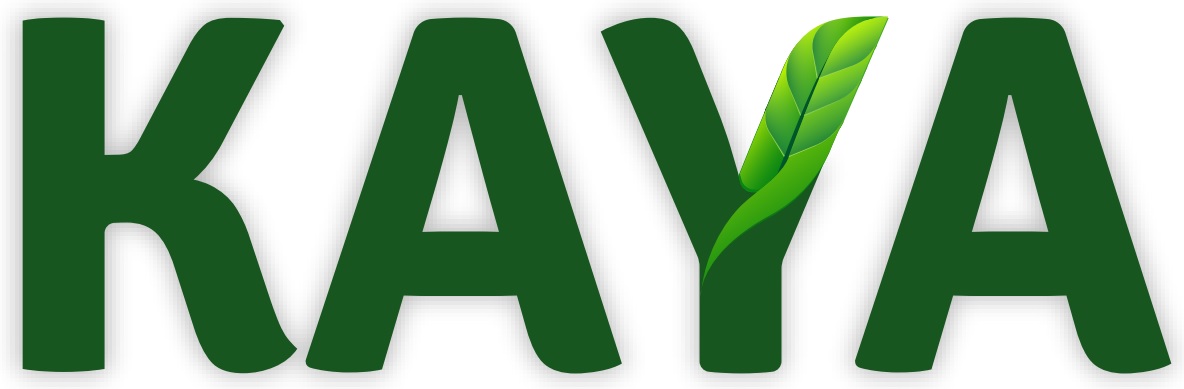 KAYA.jpg