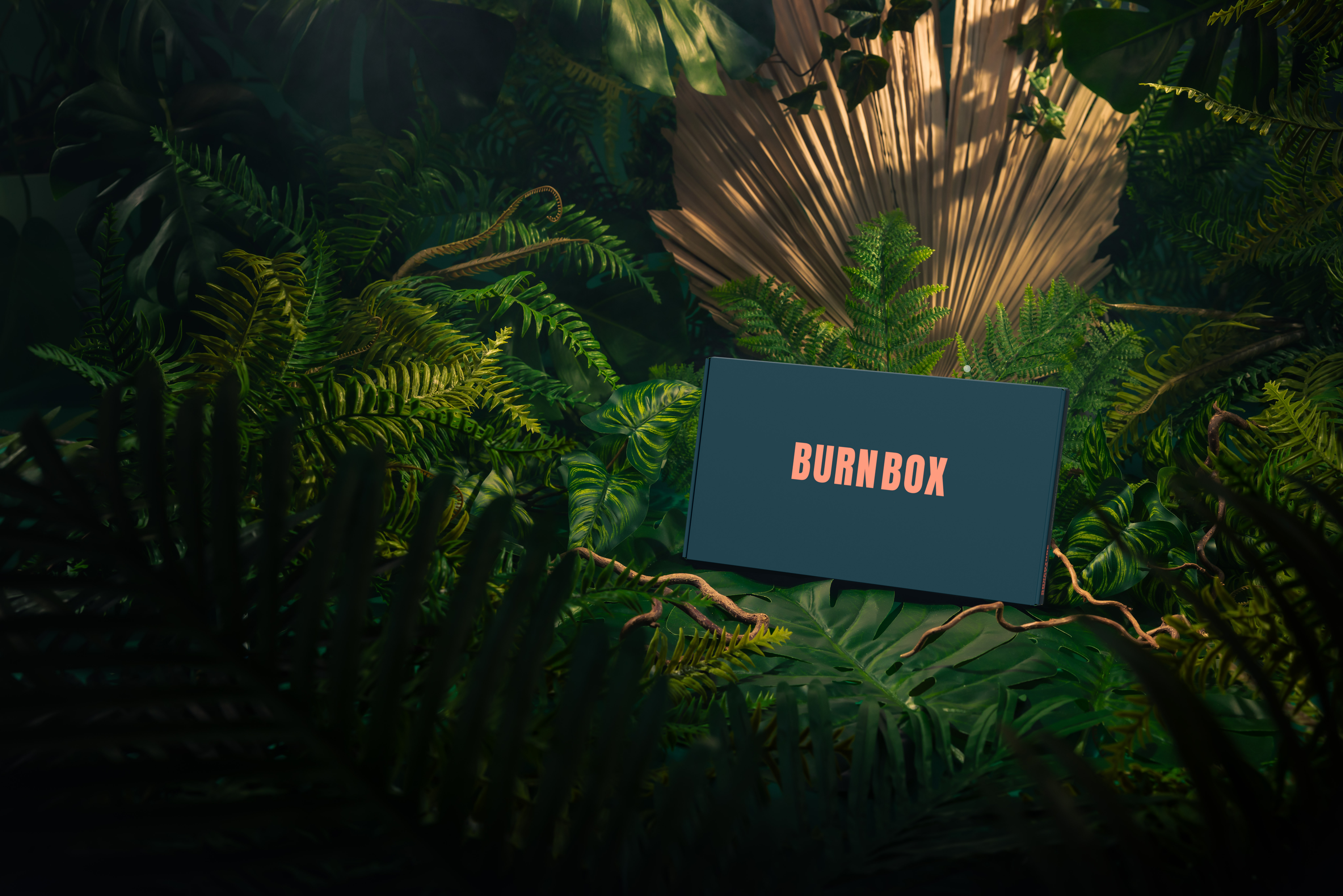burnbox_kit