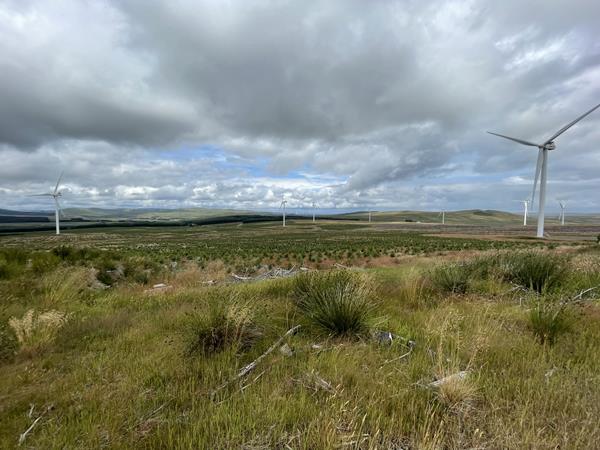 Picture of Andershaw wind farm in Scotland