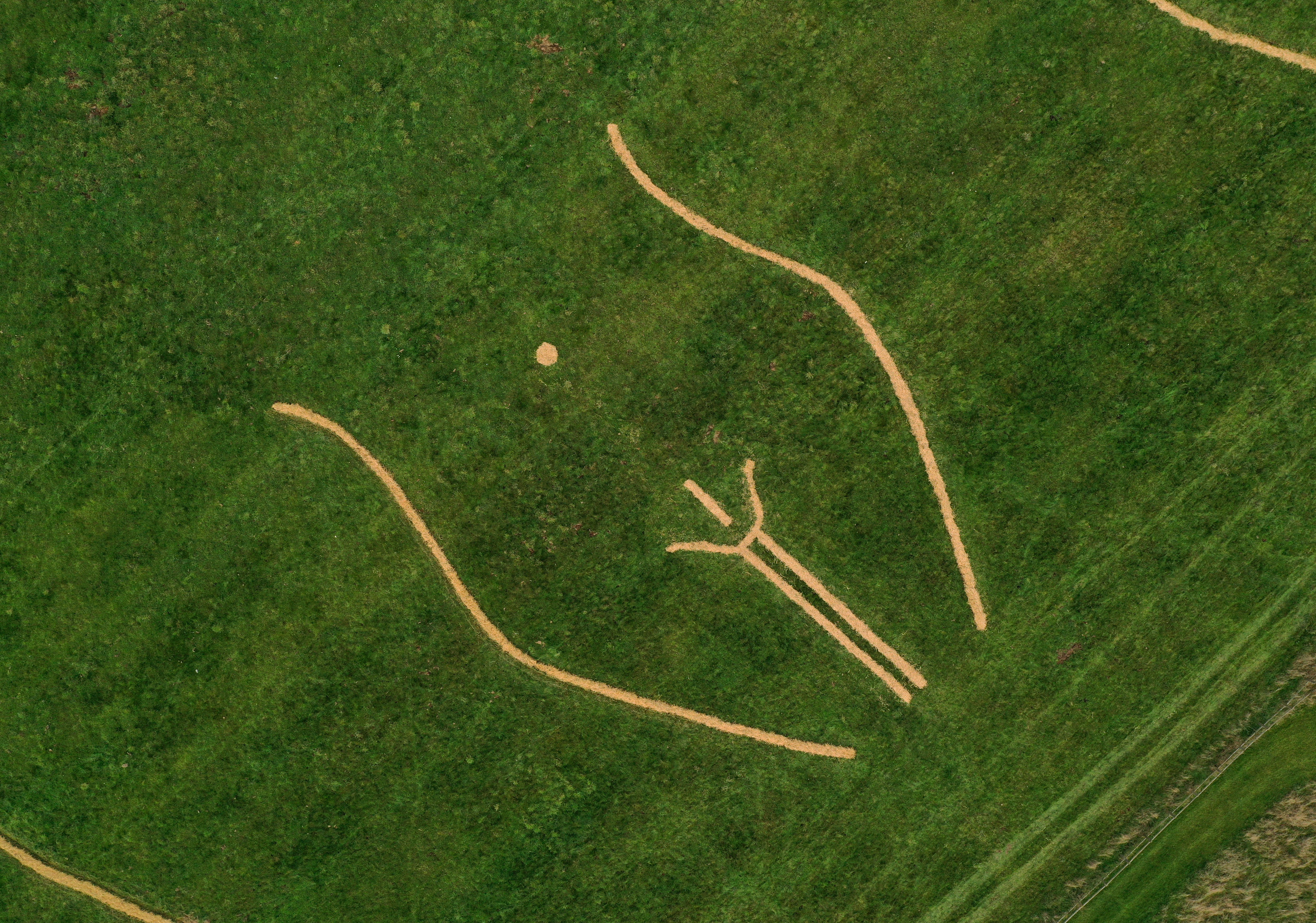 PinPep_LaserClinicCrotchCircle_Landing Strip