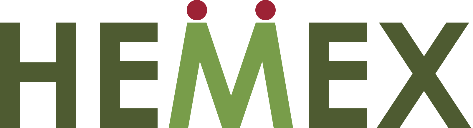 Logo HEMEX.png