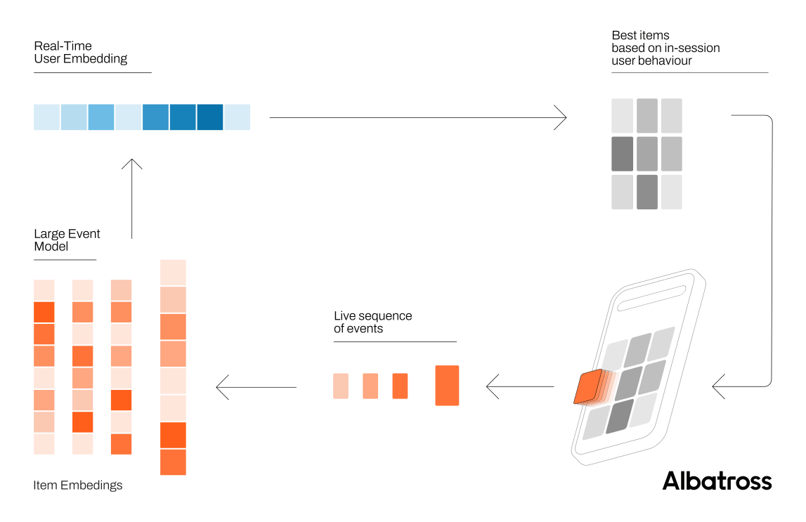 Albatross - How it works (1).png
