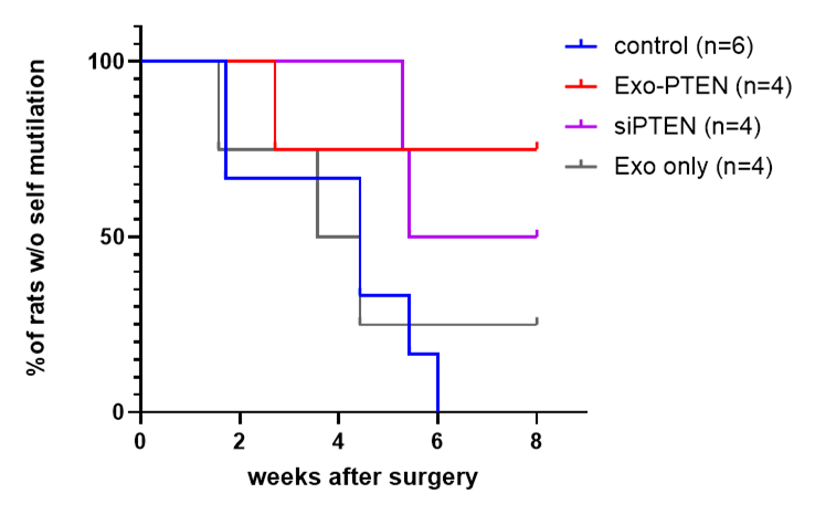 Stress levels in treated rats (as indicated by self-harm)