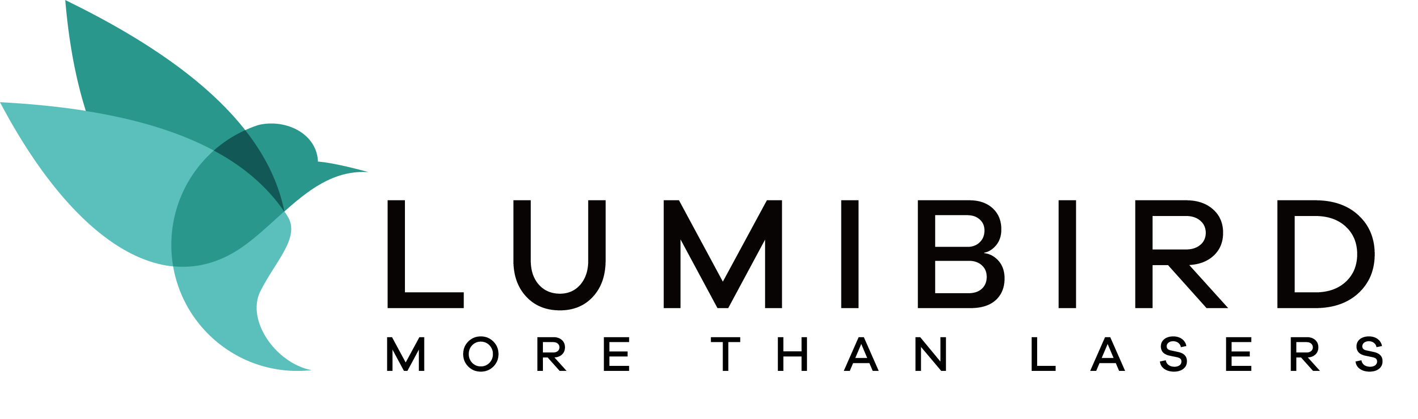 lumibird-logo-HD.png