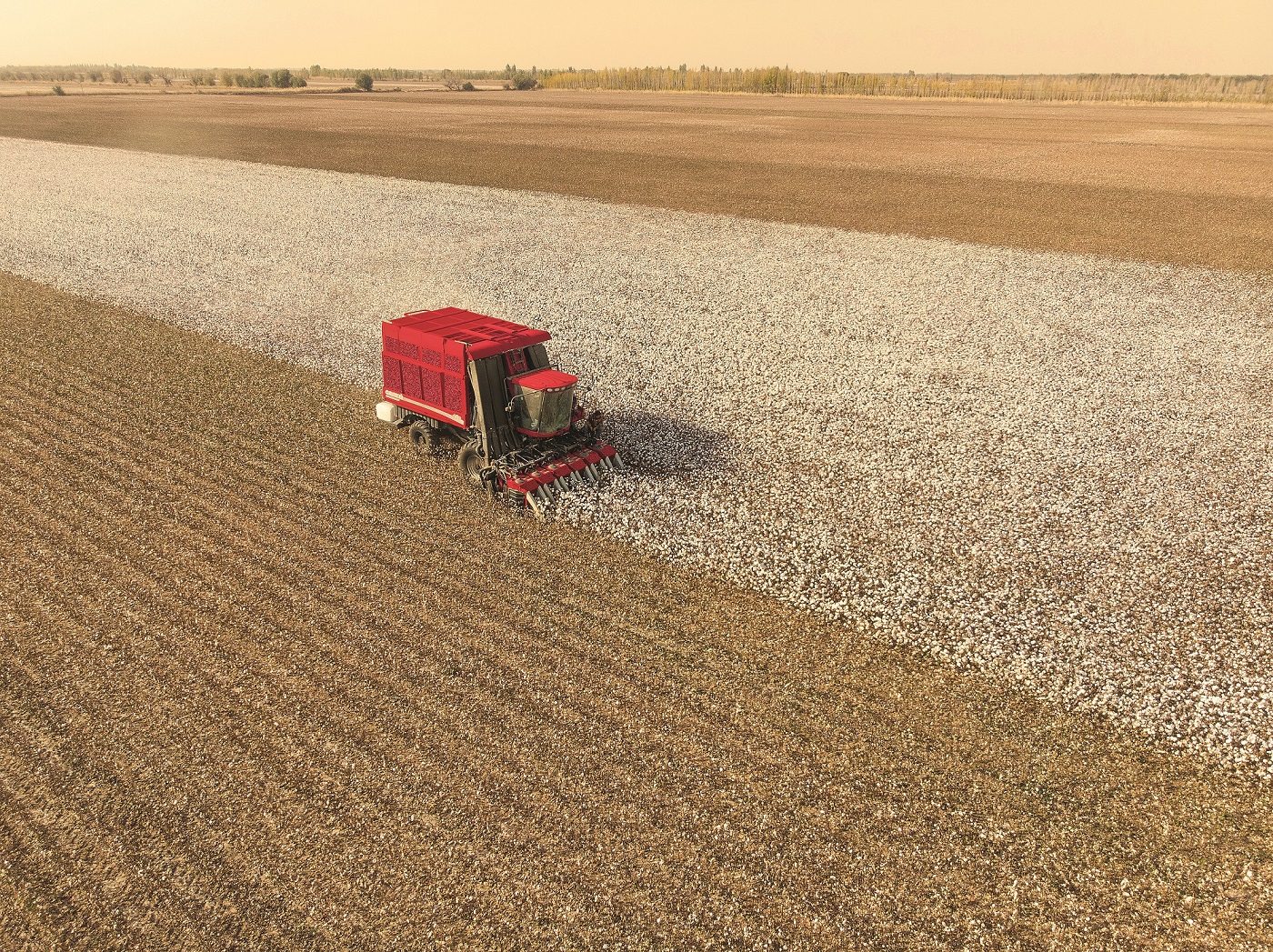 Case_IH_Cotton_Express_cotton_picker