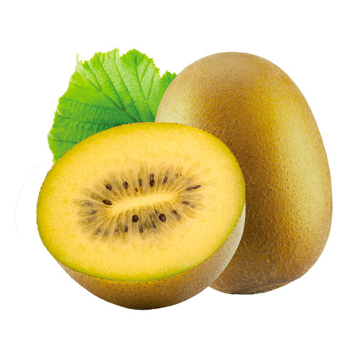 kiwi-gialloApofruit