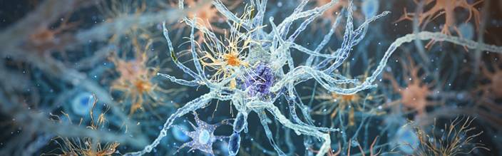 75ee8b8f-1ee4-400d-a3a0-728163c04eb9