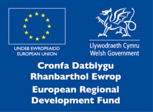 ERDF-logo2