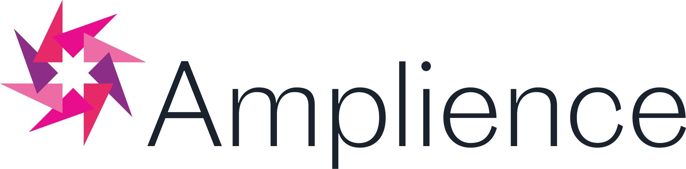 amplience-landscape-colour-black-logo