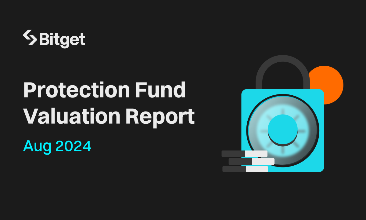 Protection Fund Valuation Report Aug 2024