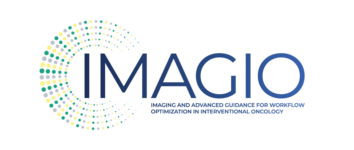 IMAGIO consortium logo (IMaging and Advanced Guidance for workflow optimization in Interventional Oncology)