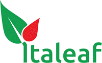 Italeaf: il CDA appr