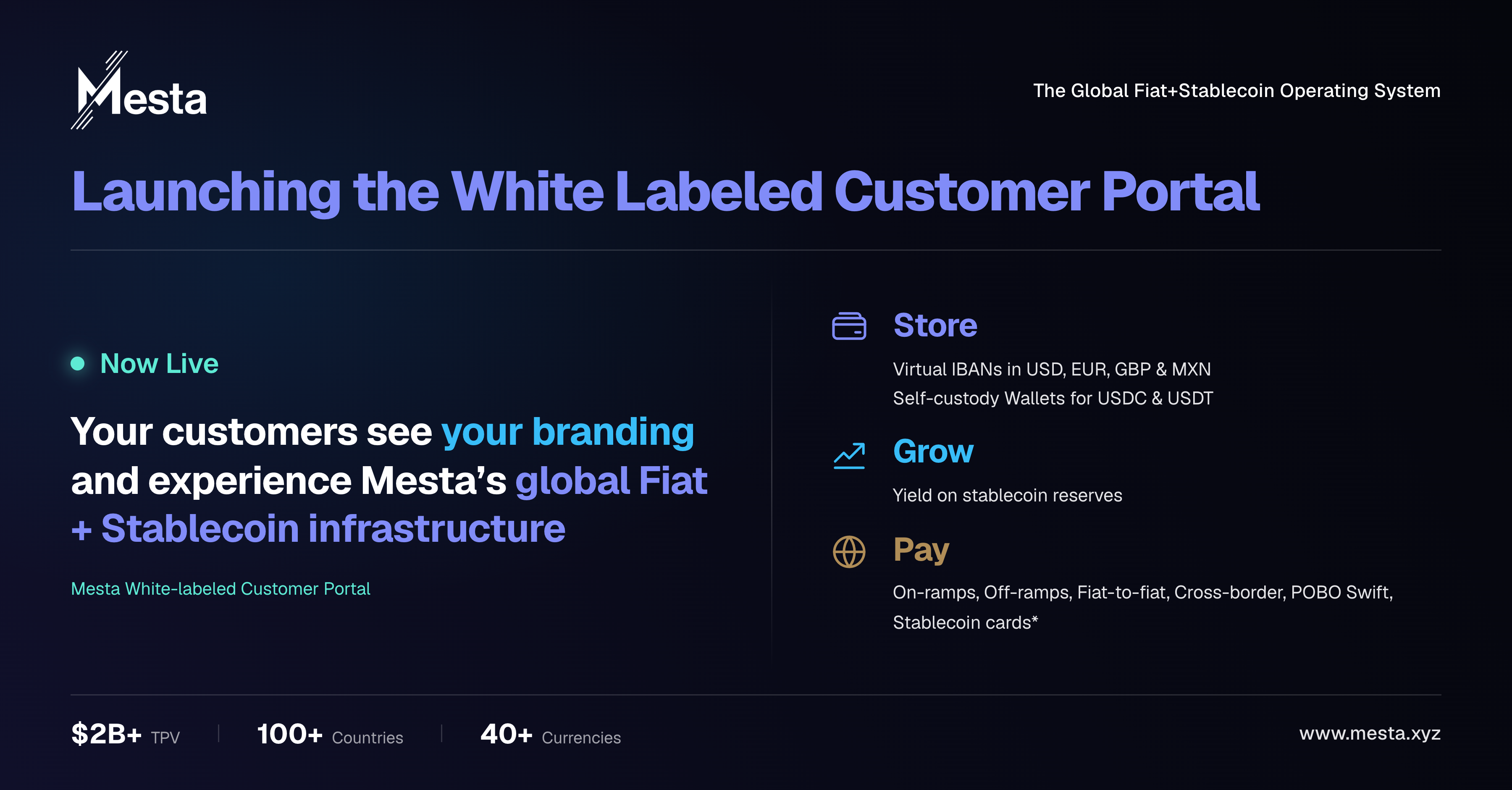 Mesta Expands Beyond APIs with their New White-Labeled Customer Portal, Giving Payment Providers a Faster Way to Launch Global Payments
