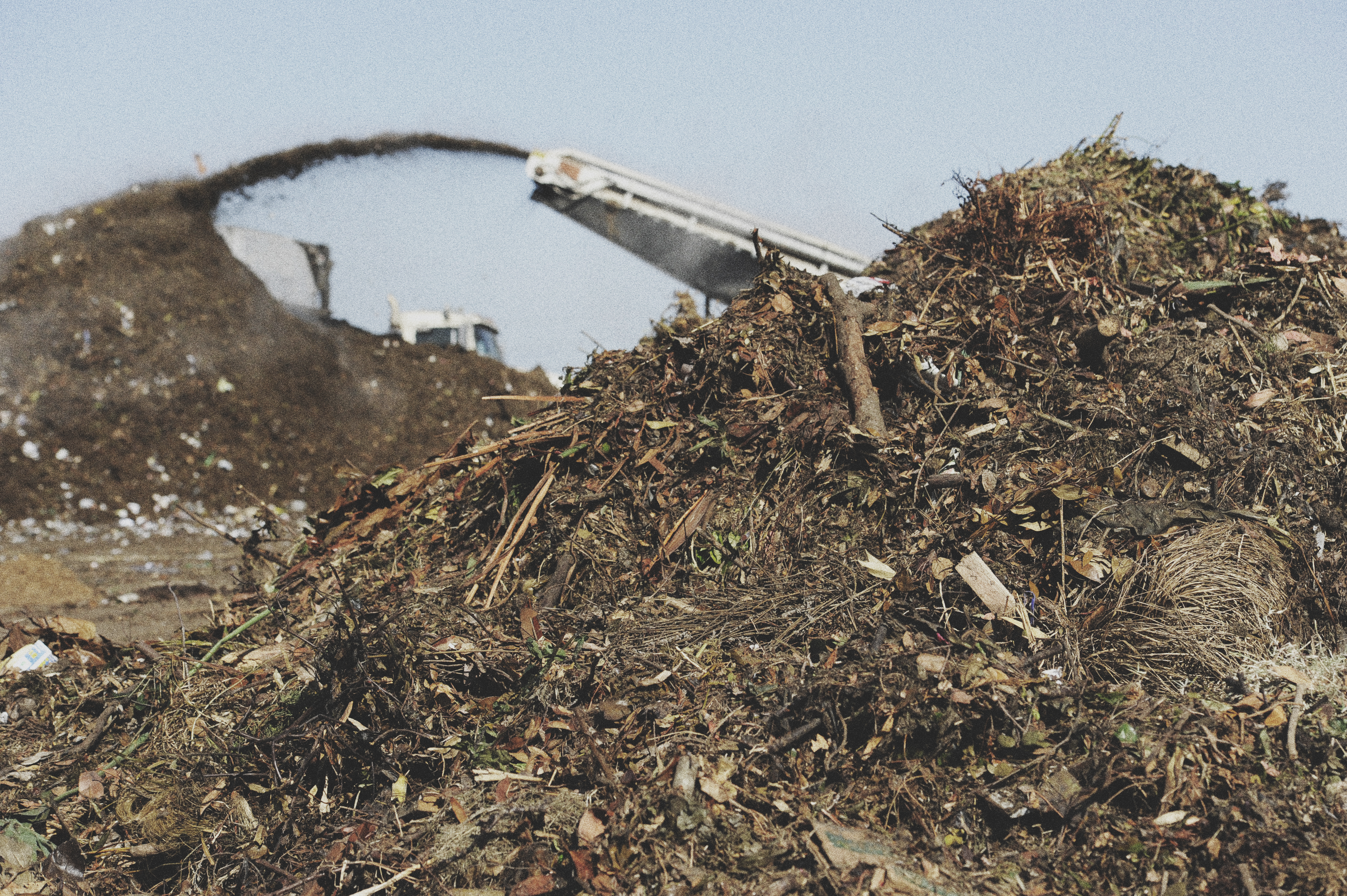 Waste_biomass_feedstock
