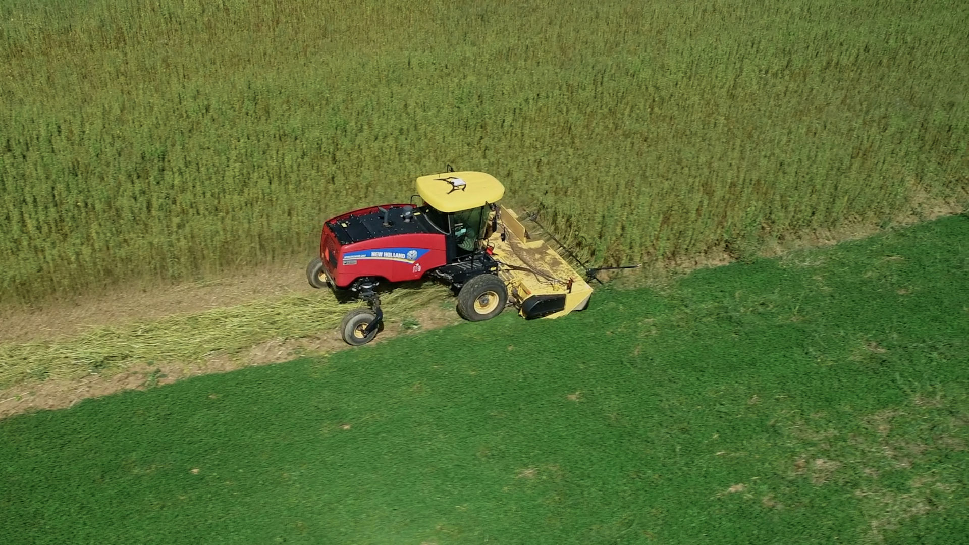 Behind_The_Wheel_Industrial_hemp_harvest_in_North_America