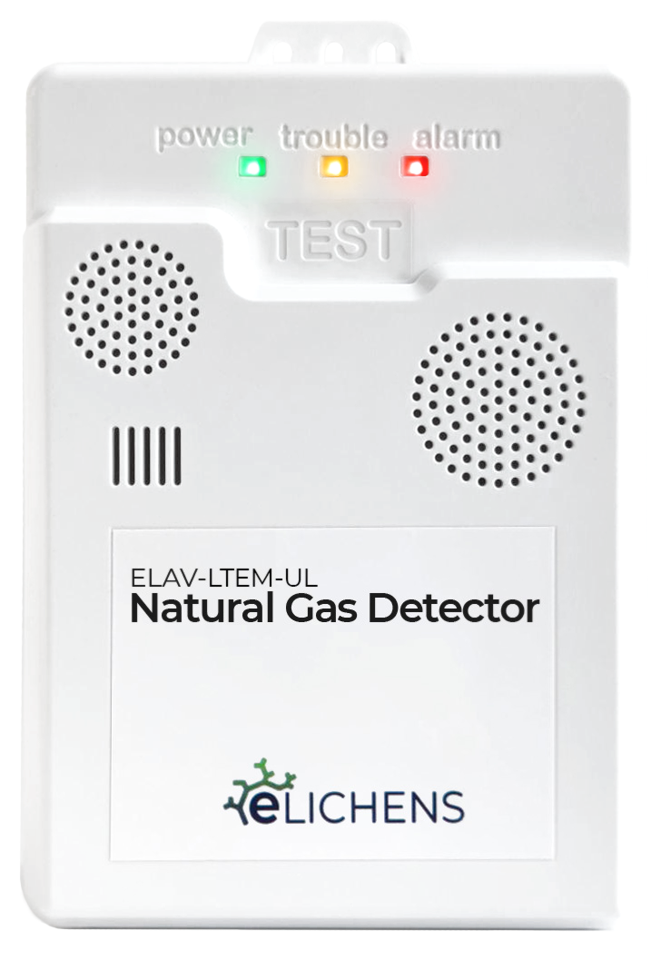 Avolta Residential Methane Detector