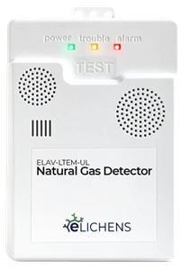 Avolta Residential Methane Detector