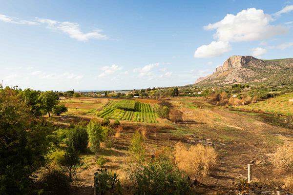 The creation of a “food forest” reproducing the natural eco-system in Sicily