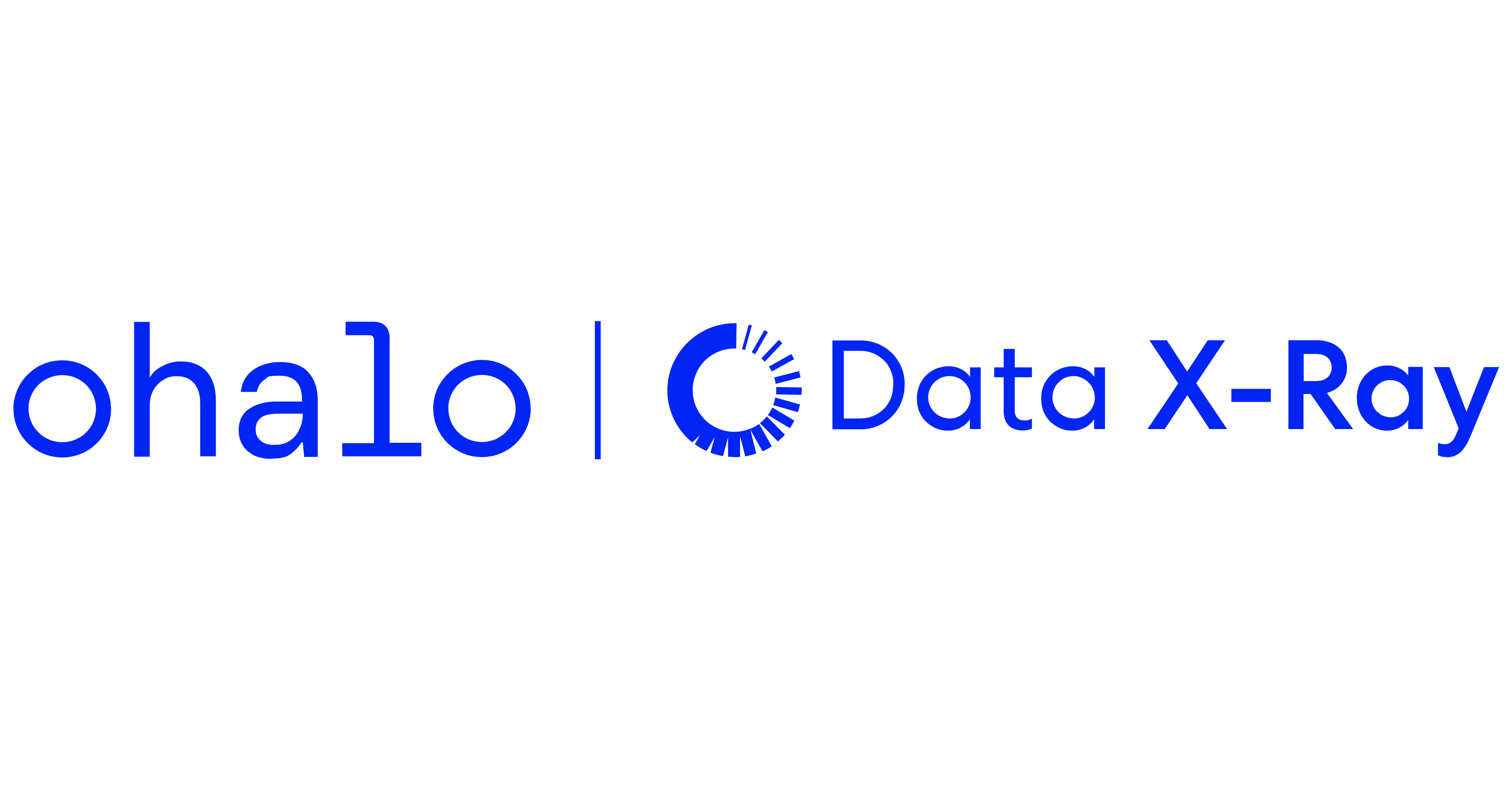 Ohalo Data X-Ray_Trimmed.png