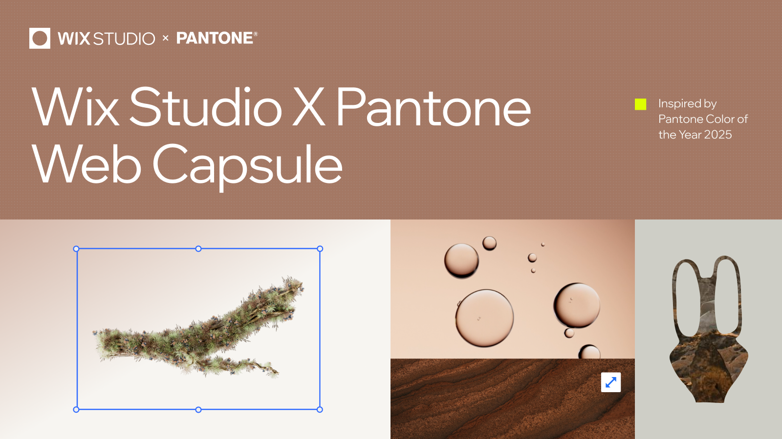 Wix Studio - web capsule design assets