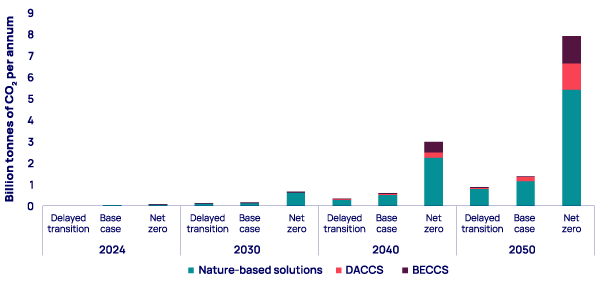 Carbon removals by scenario, from today until 2050