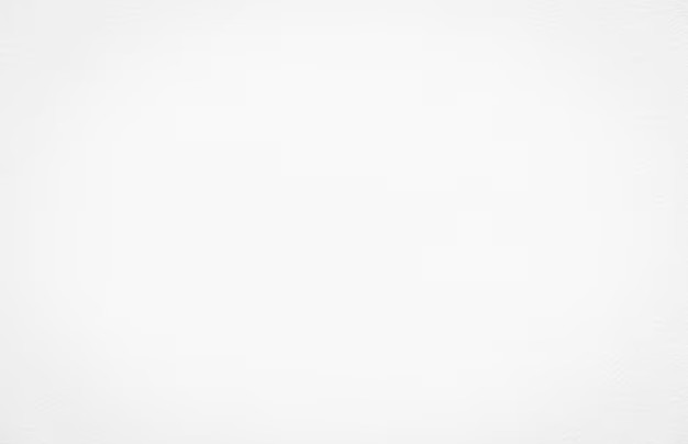 Information Disclosure to Bondholders of the IL Fund