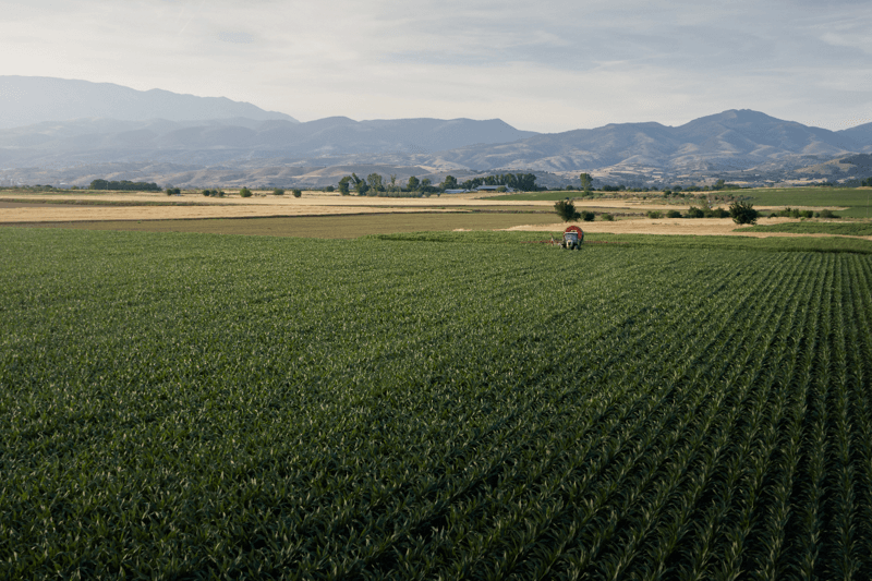 Increasing nutritional uptake with biostimulants is important to reduce expansion of farmland.