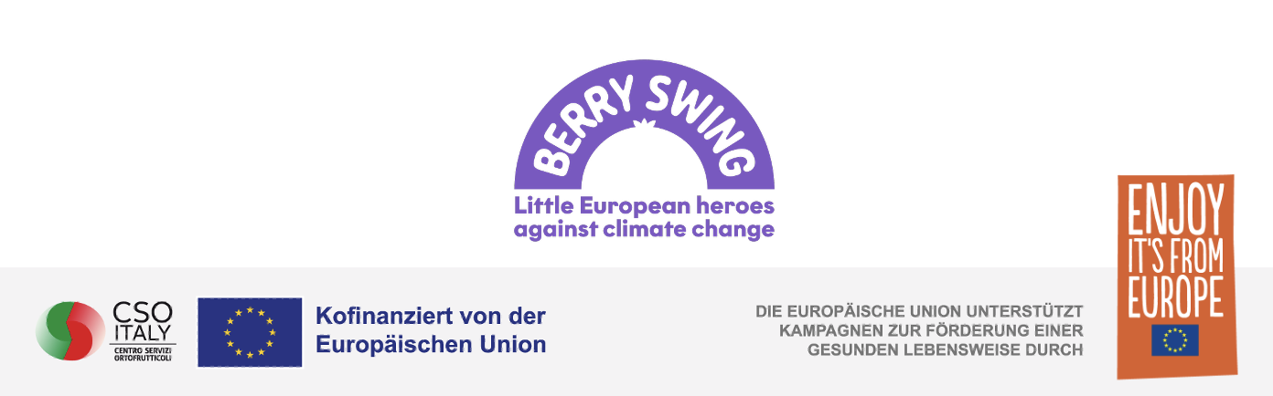 Berry Swing