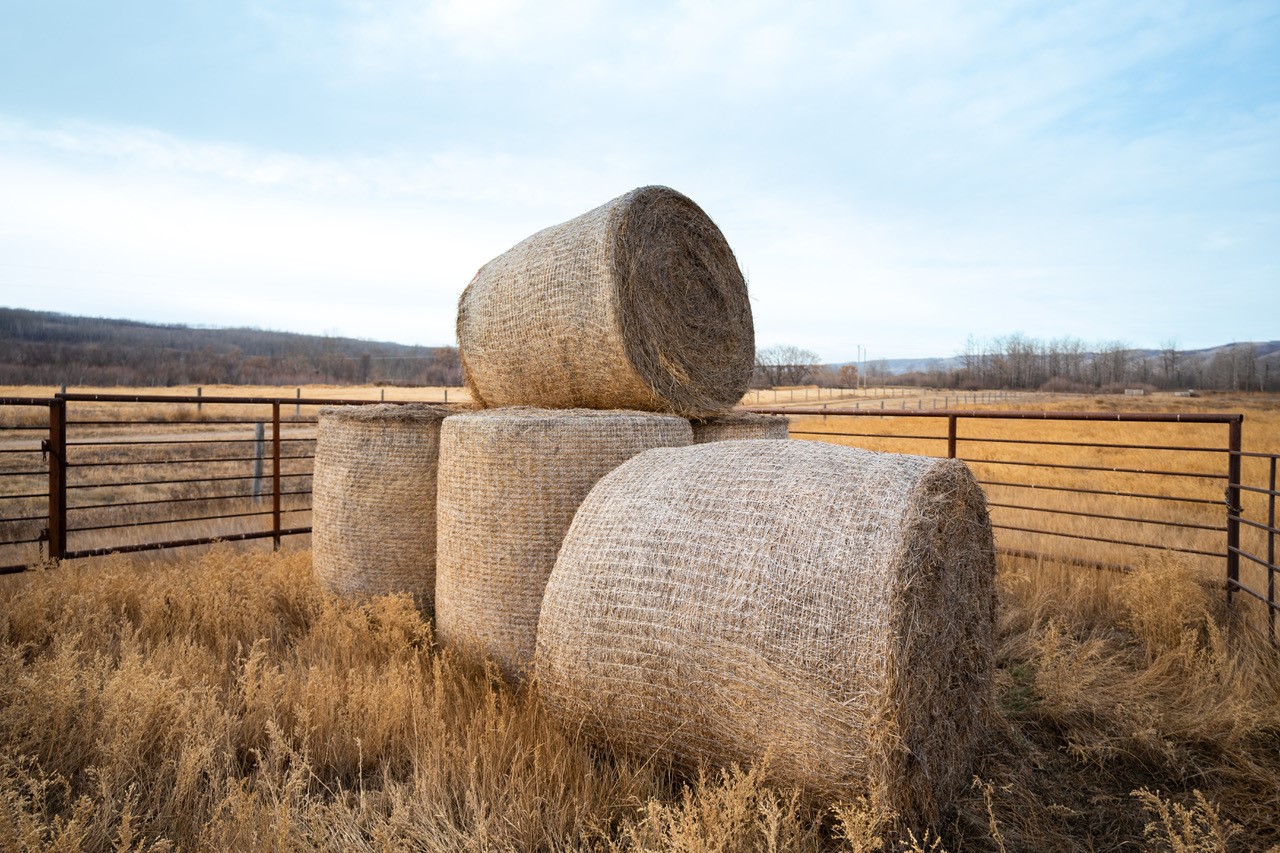 CNH_invests_in_compostable_Bale_Wrap_Solution_wrap_image