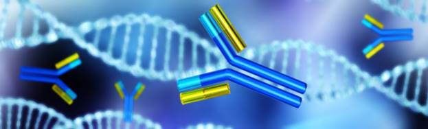 d8bcedc9-fcf4-4508-aa7b-144a240c76ef