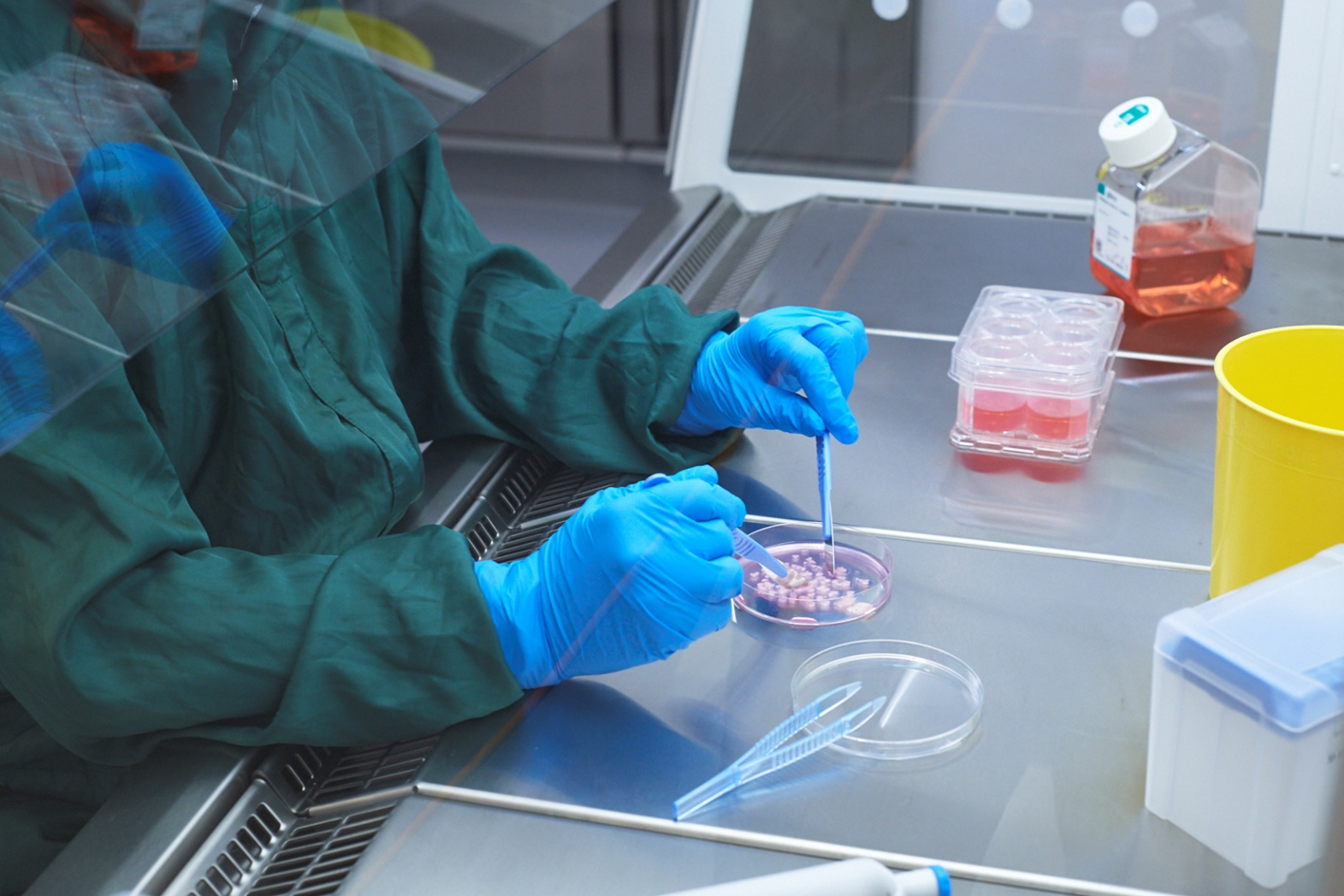 Picture of Cbio cleanroom operator cutting tumor tissue for T-cell therapy production