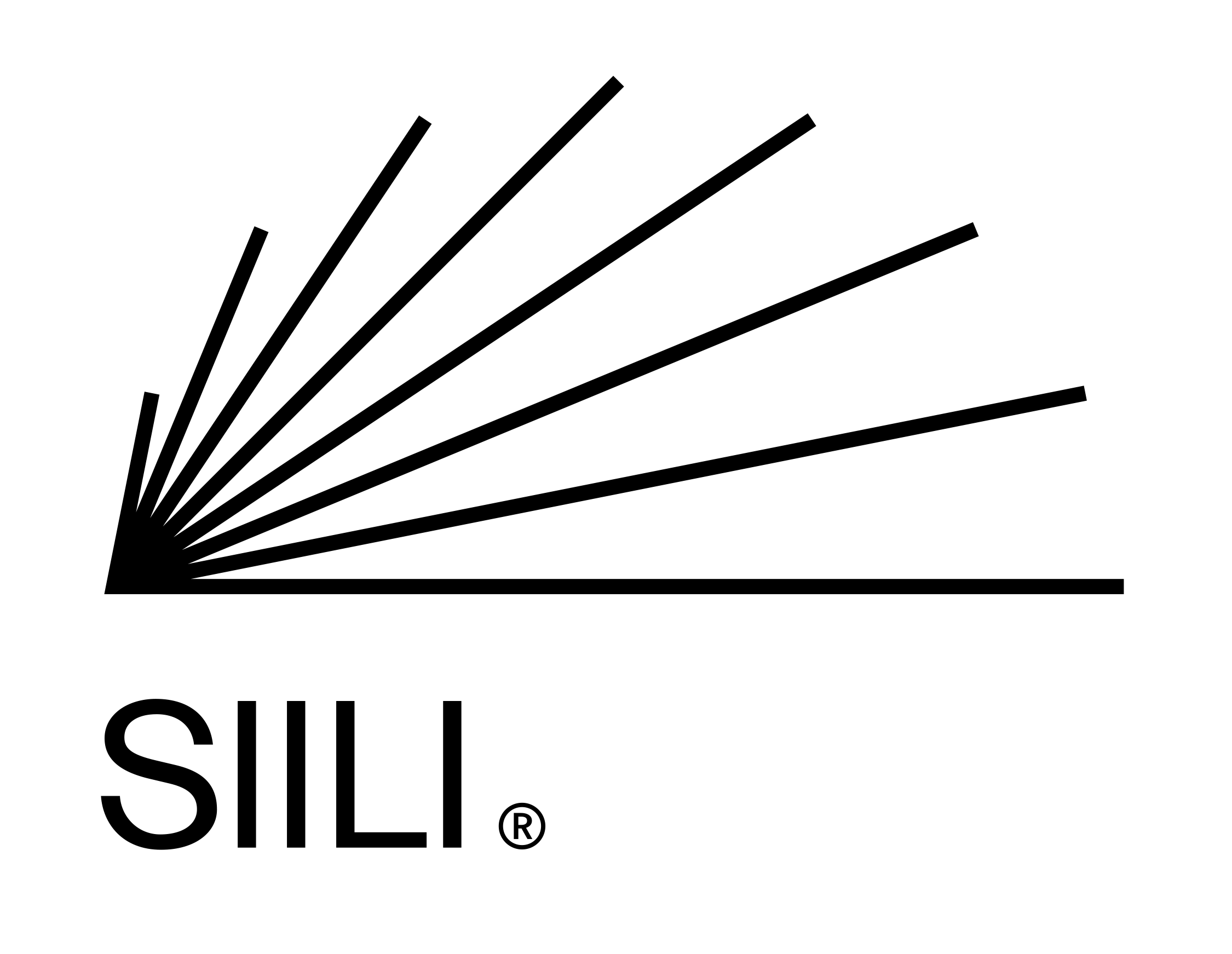 Siili Solutions Plc 