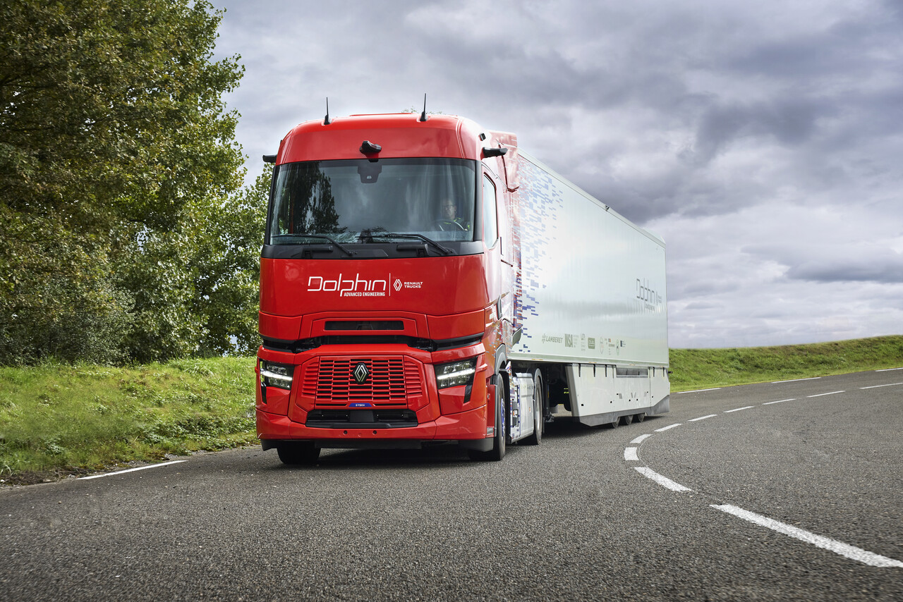 large-2025_09_RT_Dolphin_0805