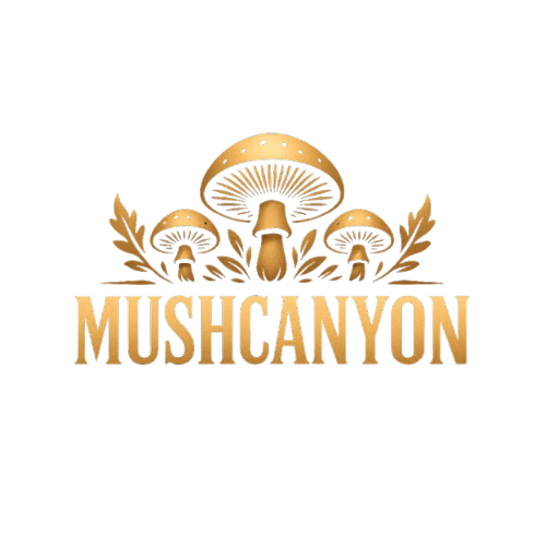 2025 Buying Guide—Best Functional Mushroom Supplement 2025 – Brain, Weight Loss, Gut Health, Energy, -MushCanyon Adaptogens Lineup 2025