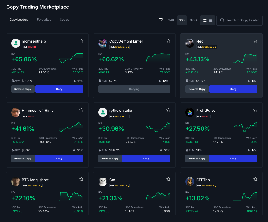 BitMEX Copy Leader Selection