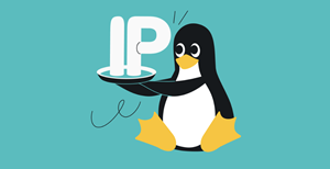 Surfshark is one of the few to add dedicated IP to the Linux GUI app